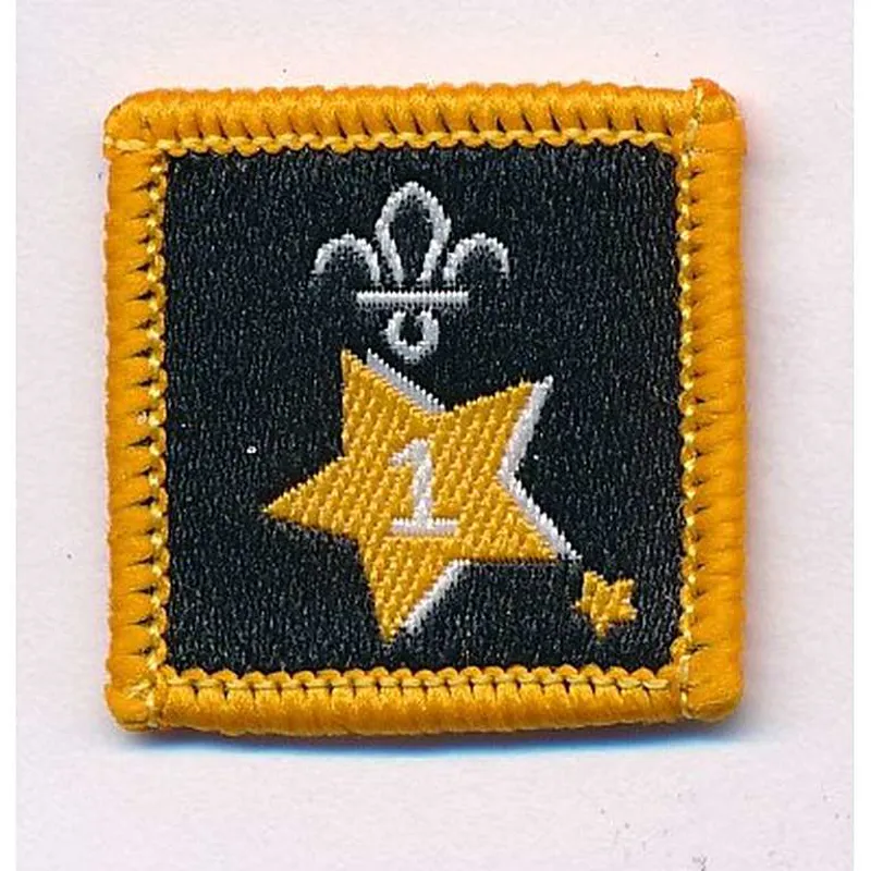 Joining in Award Badge 1.