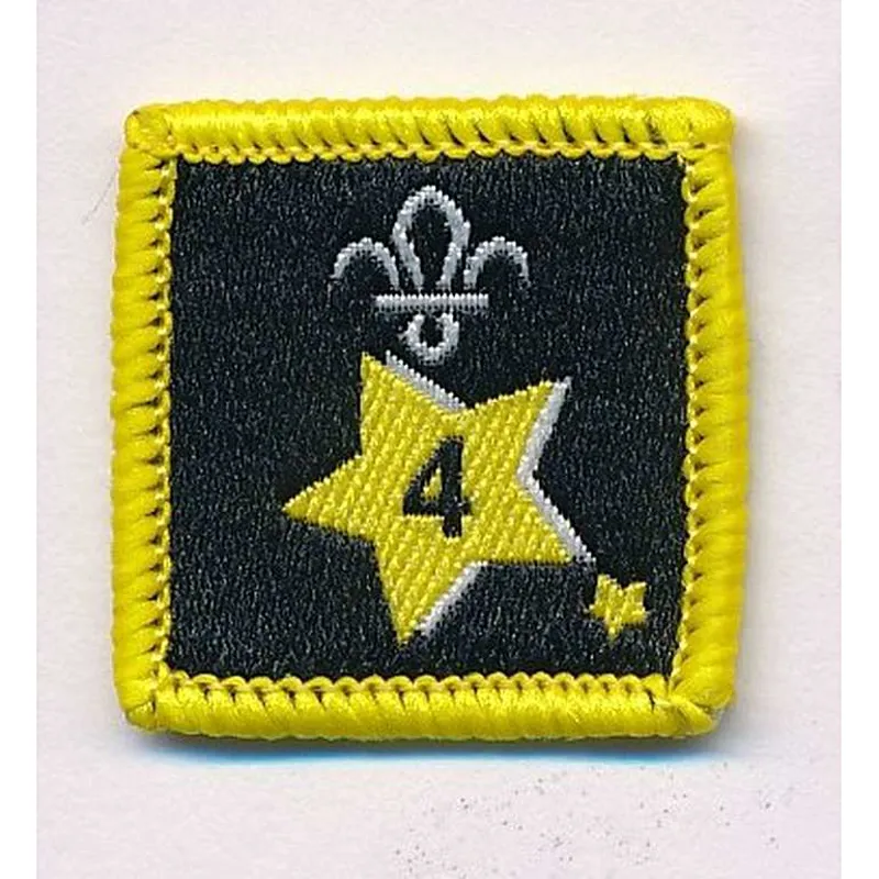 Joining in Award Badge 4.