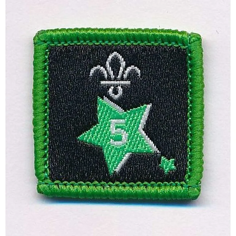 Joining in Award Badge 5.