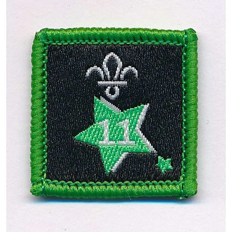 Joining in Award Badge 11.