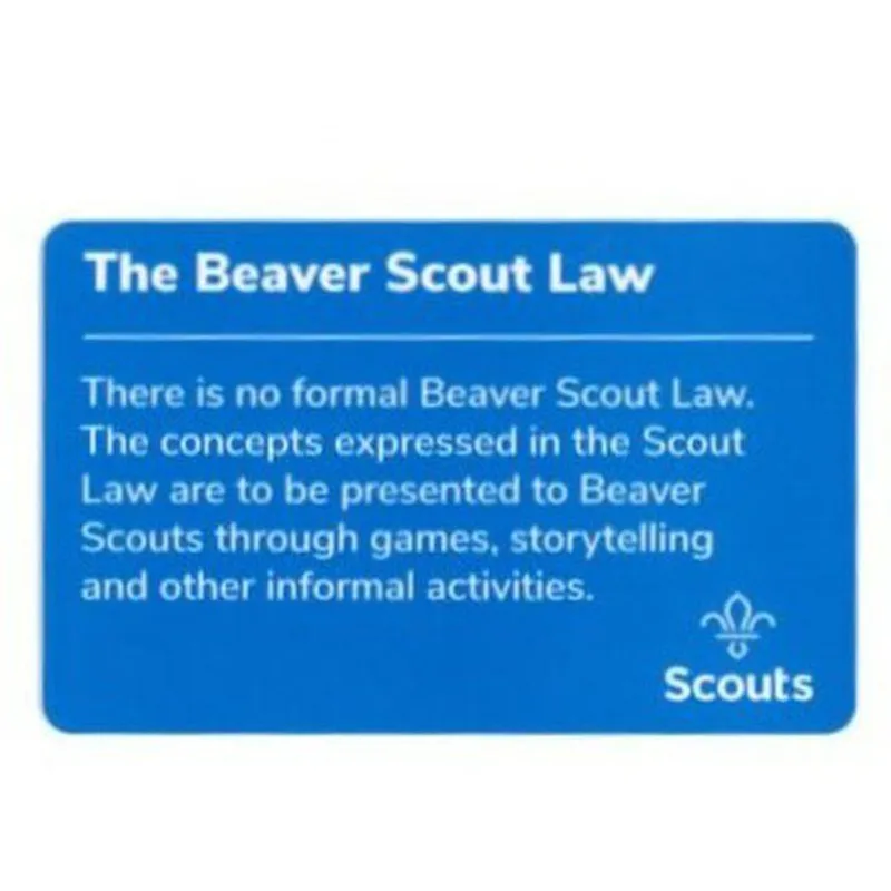 Beaver Scouts Promise Card - Christian-1