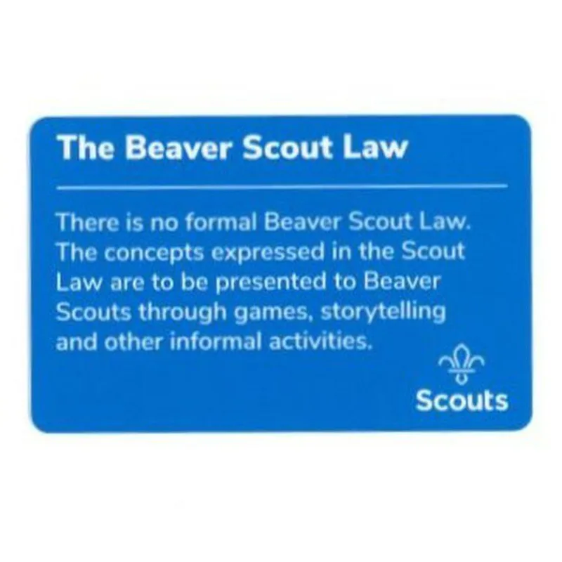 Beaver Scouts Promise Card - Hindu-1