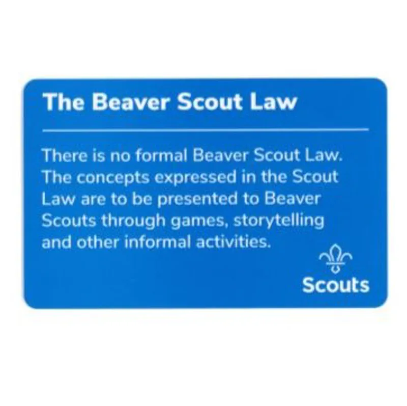Beaver Scouts Promise Card - Atheist Or Those Of No Faith-1