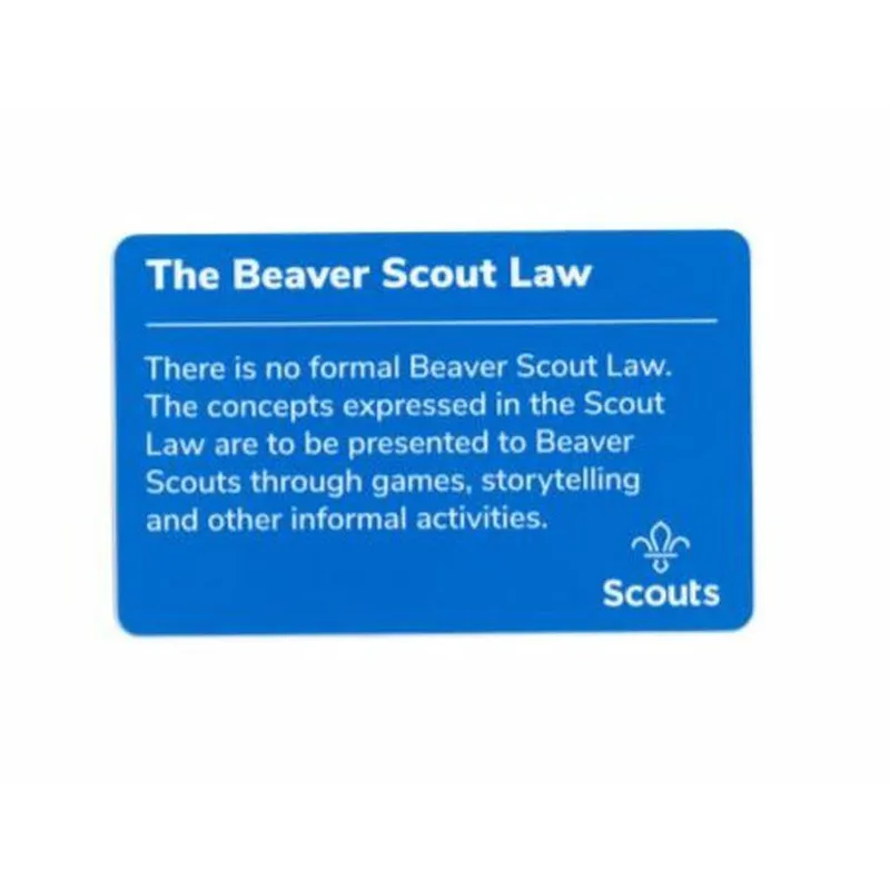 Beaver Scouts Promise Card - Jewish-1