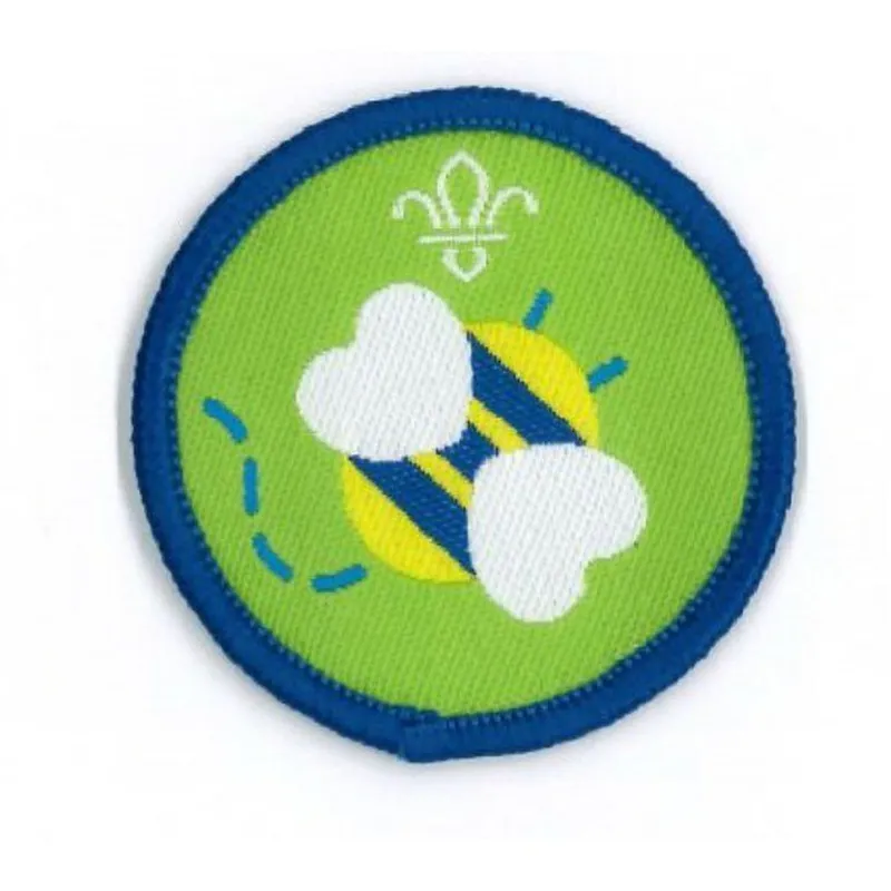 Squirrel Scout Go Wild Activity Badge