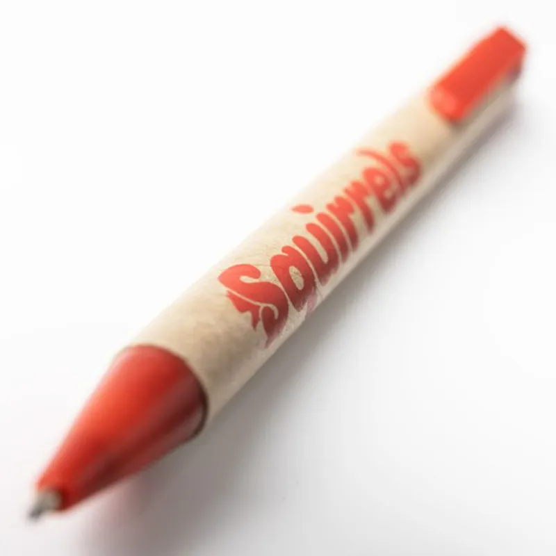 Squirrels Eco Friendly Ballpoint Pen-2