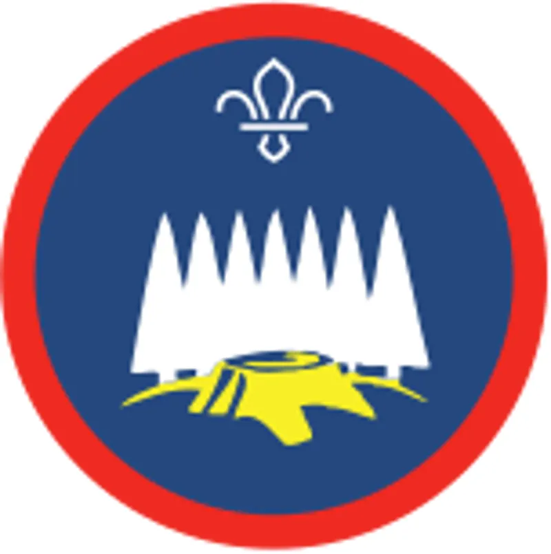 Scout Forester