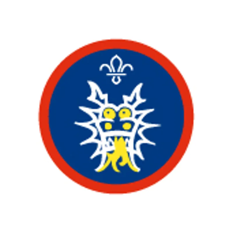 Scout Dragon Boating