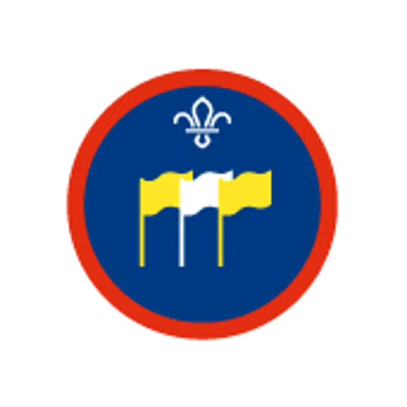 Scout International Badge