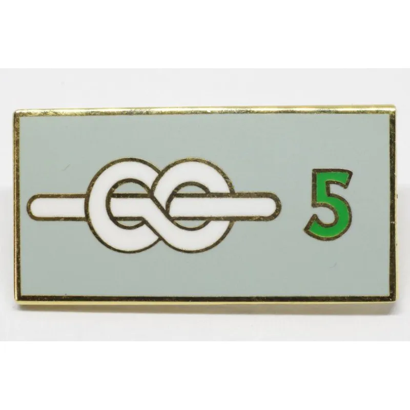 5 year chief scout's service award pin badge