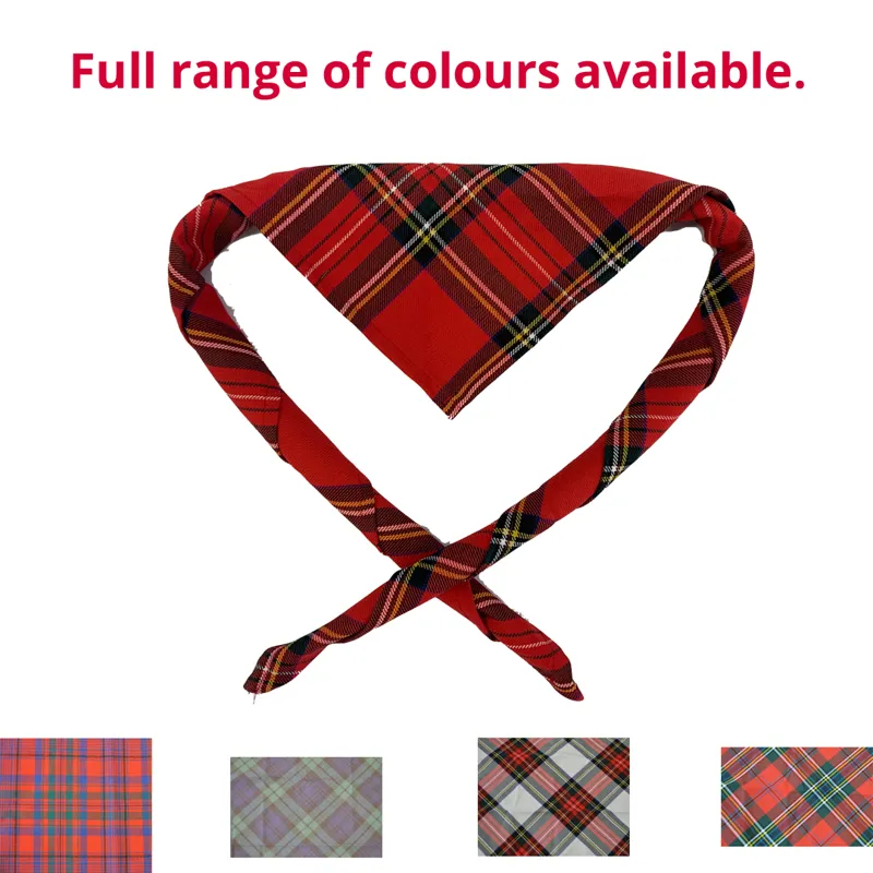 Tartan Neckie/Scarf - adult size