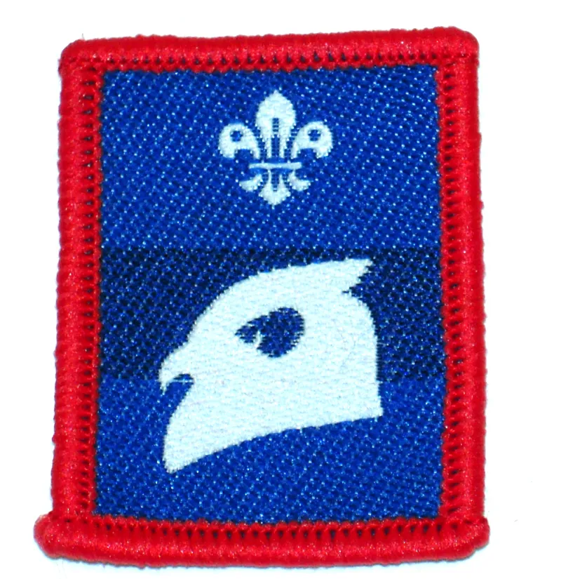 Patrol Badge Owl