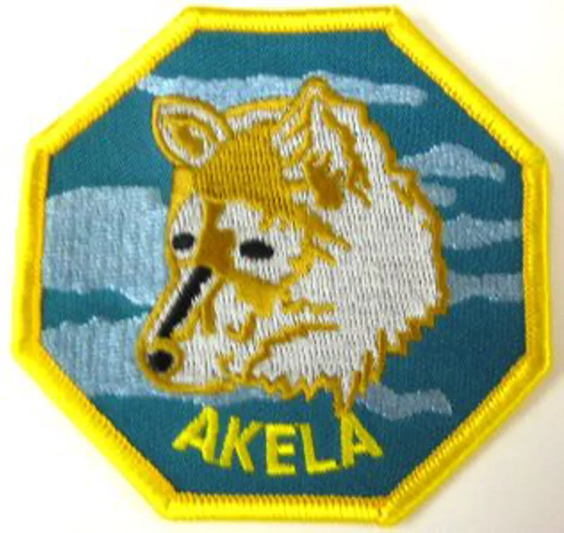 Fun Cub Badge - Akela