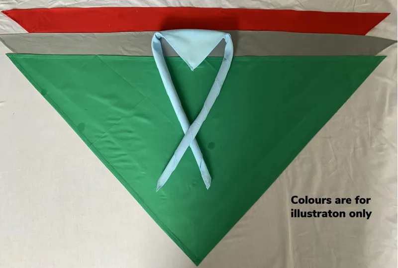 Plain Scarf / Neckie - Adult 2 pack