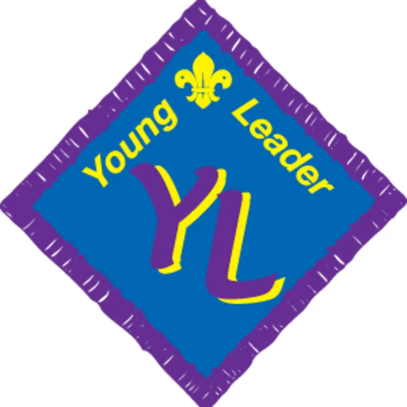Young Leaders Badge Old