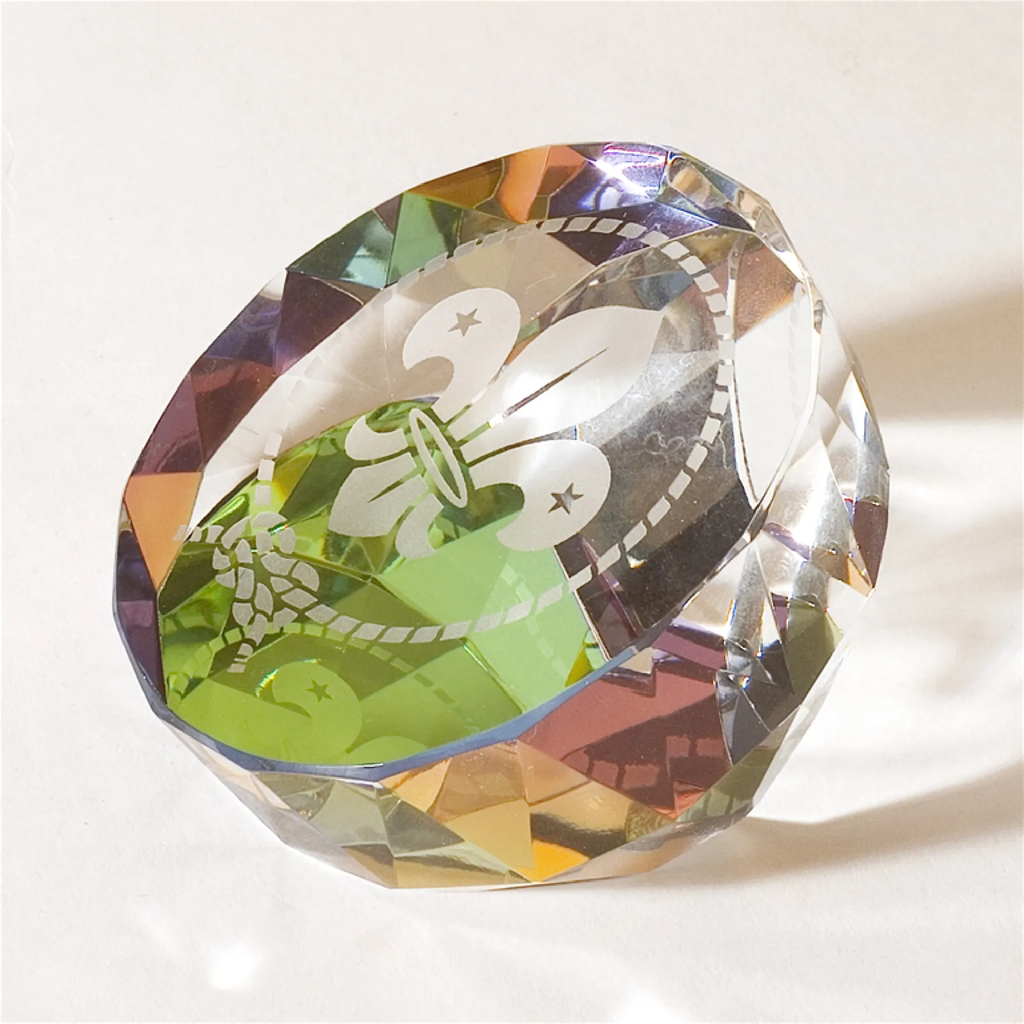 Locust Paperweight Scout Large Paperweight