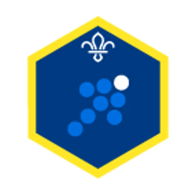 Cub Team Leader Challenge Award Badge