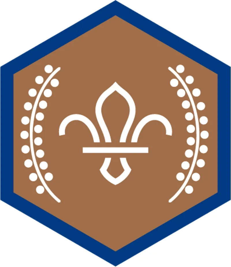 Beaver Chief Scouts Bronze Award Badge
