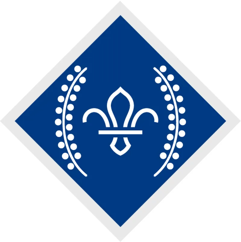 Chief Scouts Diamond Award