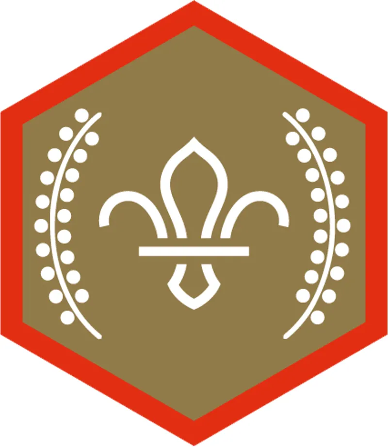 Chief Scouts Gold Award Badge