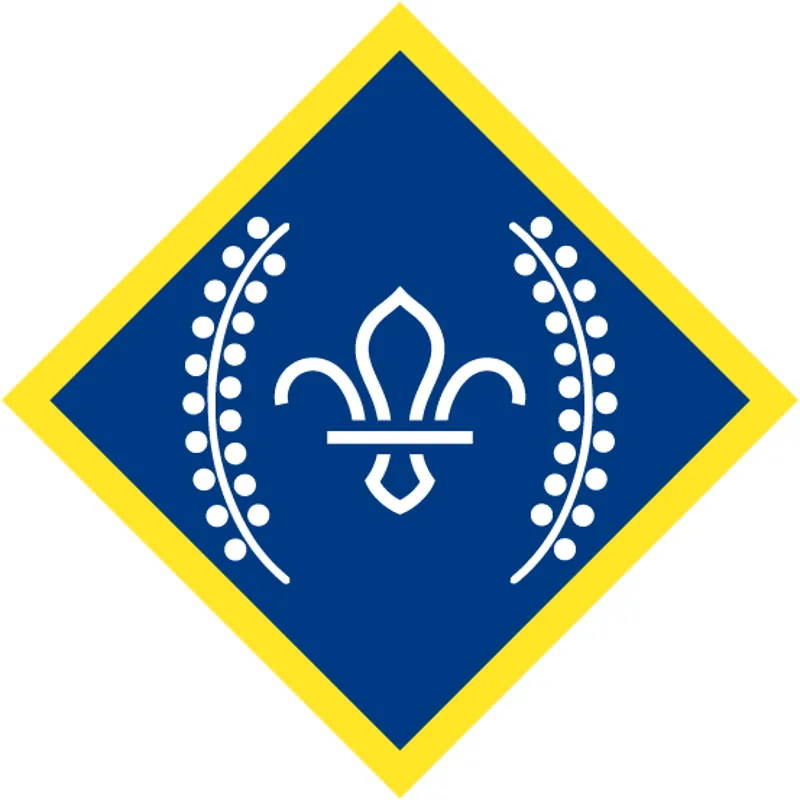 Chief Scouts Platinum Award