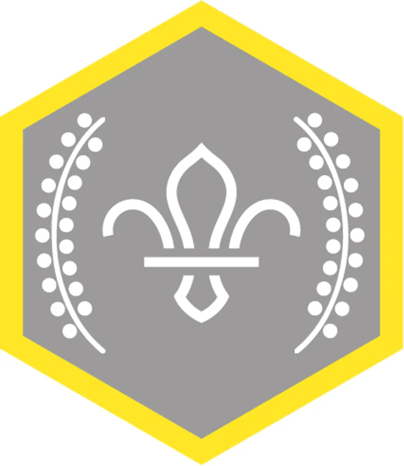 Cub Chief Scouts Silver Award Badge