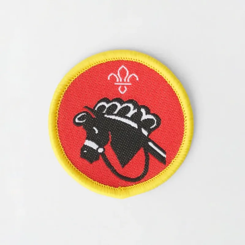 Cub Scout Hobbies
