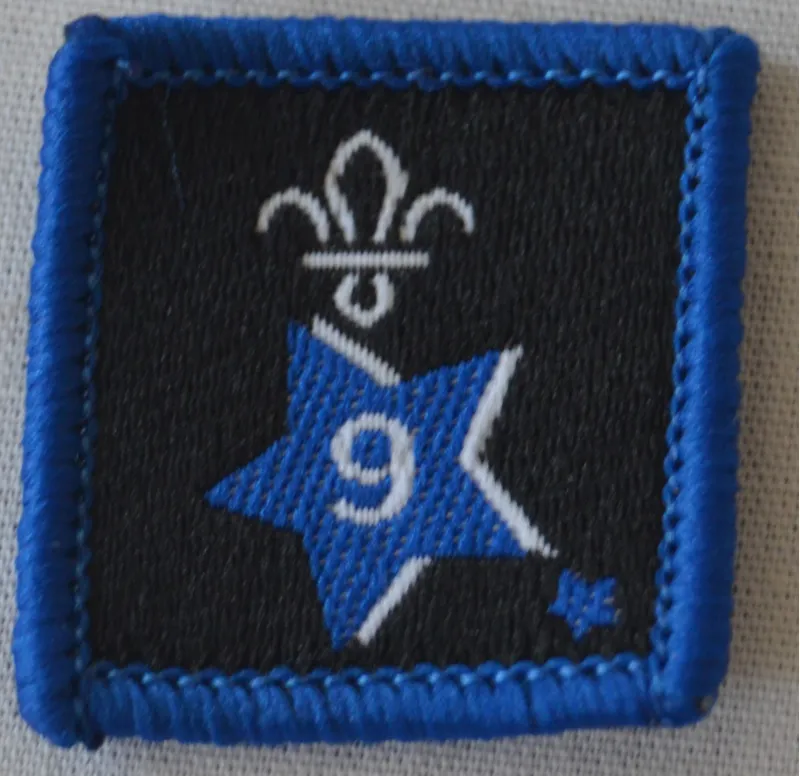 Joining in Award Badge 9.