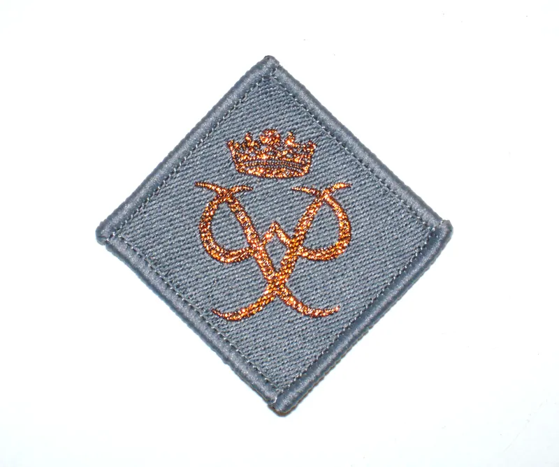 DofE Award Bronze Badge