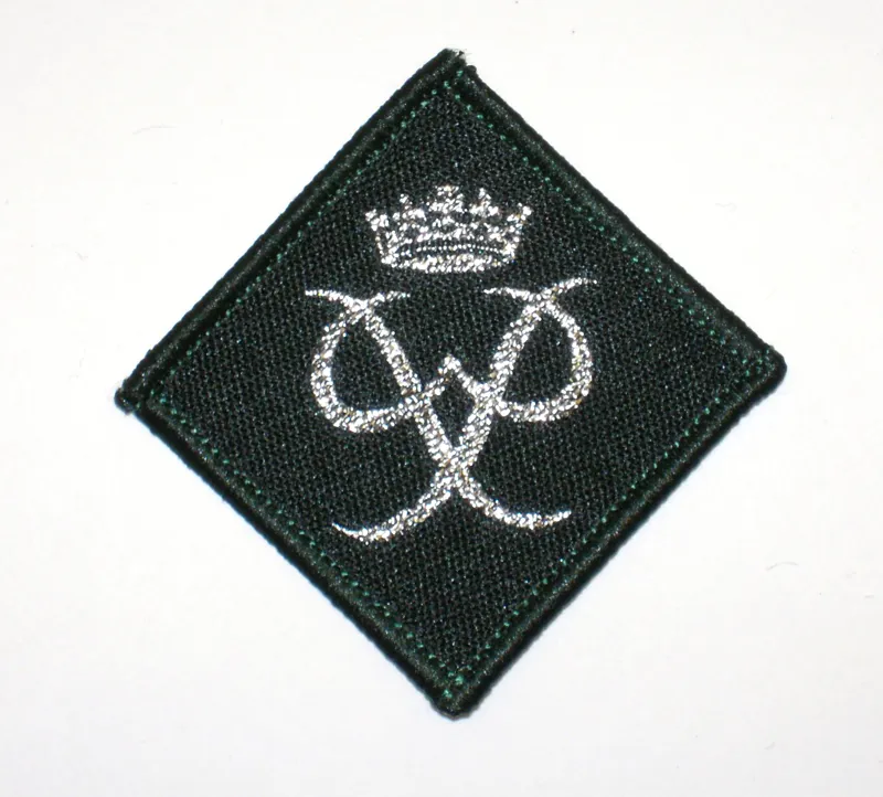 DofE Award Silver Badge