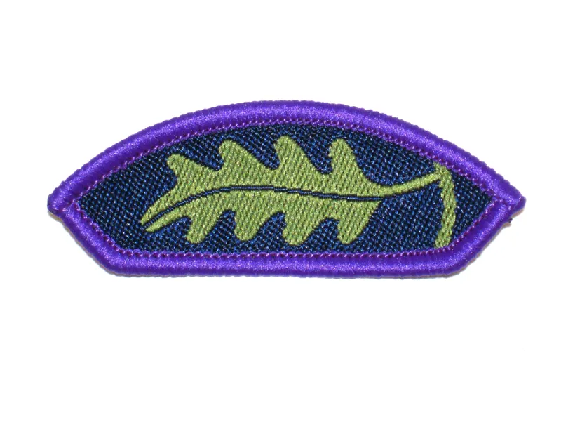 Young Leaders Mission Badge