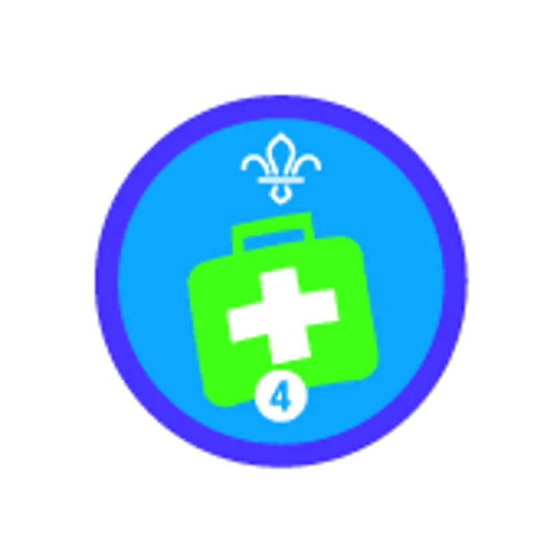 Activity Emergency Aid Stage 4.