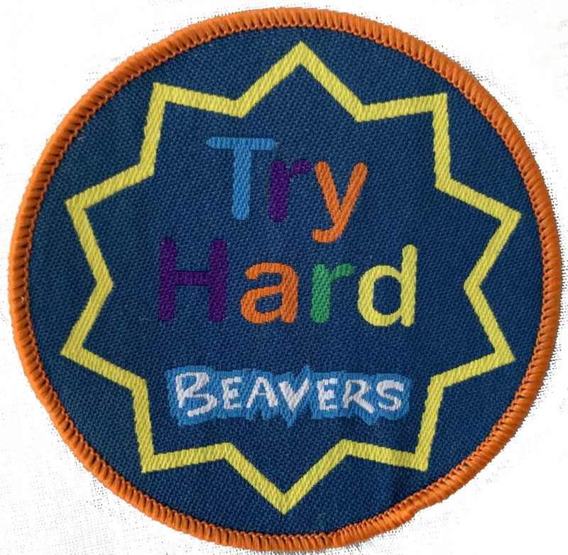 Beaver Scouts Try Hard Fun badge